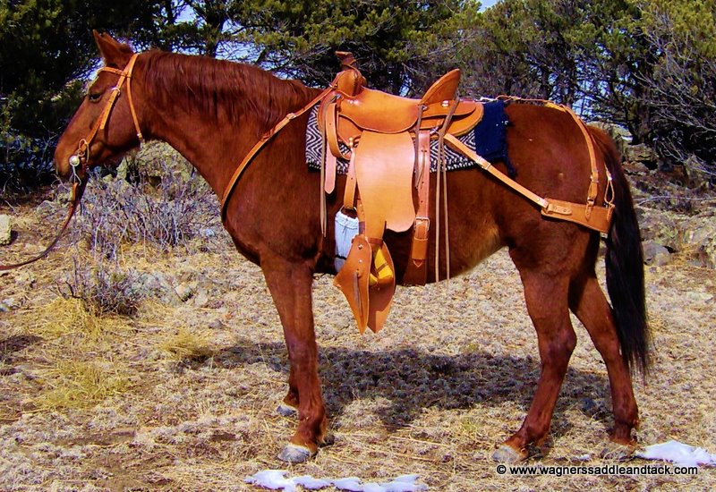 Handmade Saddles for Horses and Mules 