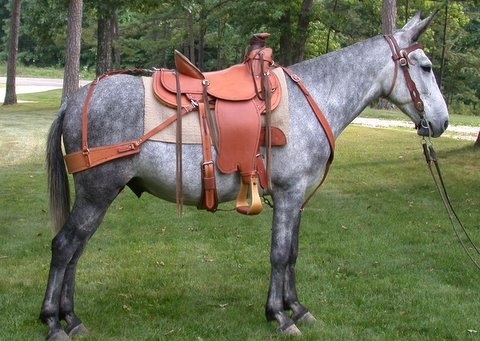 Handmade Saddles for Horses and Mules 